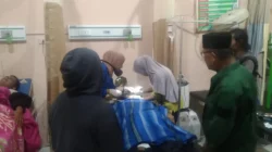 Viral! Pengendara Motor dan Anaknya Diserang Harimau di Lampung Barat
