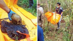 HEBOH! Tengkorak Manusia Ditemukan Bersama Helm dan Pakaian di Ladang Terpencil Agam
