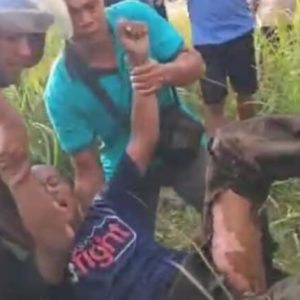 Remaja Disabilitas Nyaris Tewas Tersetrum Listrik Tegangan Tinggi di Rokan Hilir: Polisi Ungkap Fakta Mengejutkan!