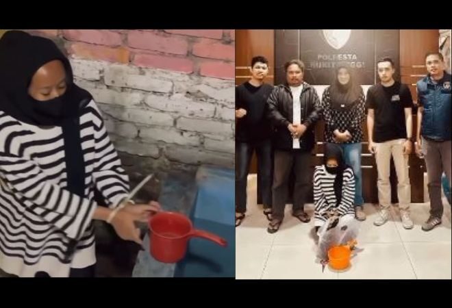 Terbongkar! Pengakuan Mengejutkan Ibu Kandung Pembuang Jasad Bayi di Ngarai Sianok Bukittinggi