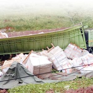 Truk Kertas HVS Terguling di Jurang Sumbar-Riau, Sopir Selamat!