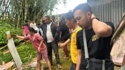 Misteri Potongan Bayi di Ngarai Sianok Guncang Bukittinggi, Polisi Fokus Ungkap Dugaan Pembuangan Bayi