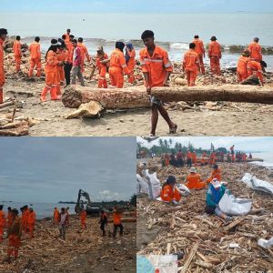 DLH Padang Genjot Penanganan 3.327 Ton Sampah Pasca Bencana dalam 9 Hari, Strategi Unik Memulihkan Kota