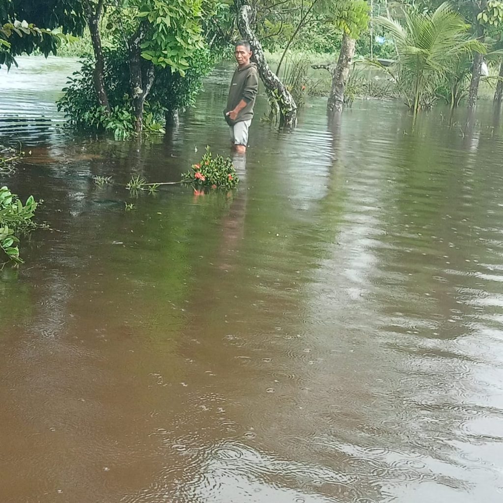 Banjir Tak Kunjung Surut di Bungo Tanjung, Warga Keluhkan Minimnya Bantuan Pemerintah – Pernyataan Kecamatan Berbeda dengan Kondisi di Lapangan
