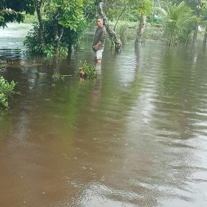 Banjir Tak Kunjung Surut di Bungo Tanjung, Warga Keluhkan Minimnya Bantuan Pemerintah – Pernyataan Kecamatan Berbeda dengan Kondisi di Lapangan