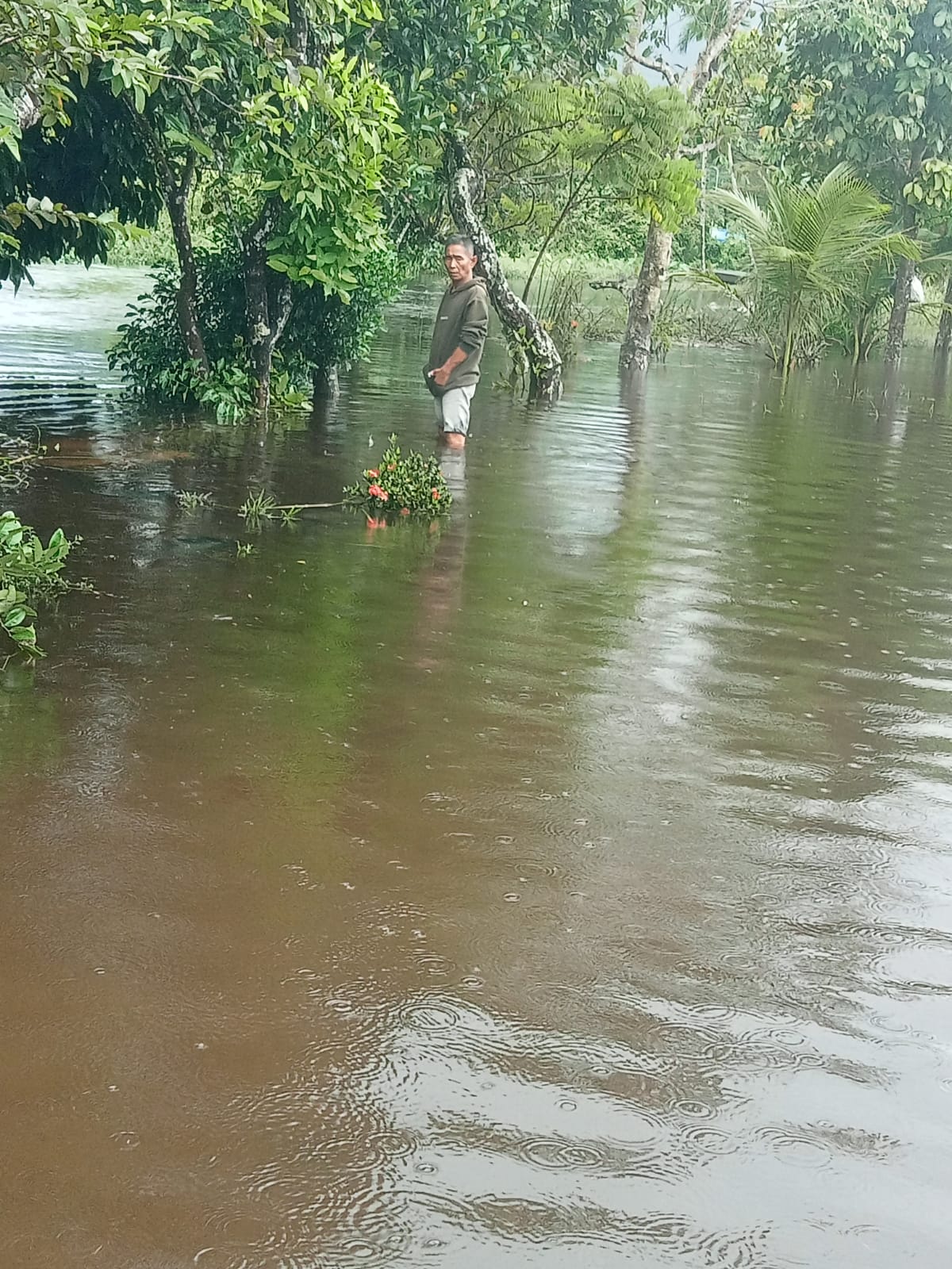 Banjir Tak Kunjung Surut di Bunggo Tanjung, Warga Keluhkan Minimnya Bantuan Pemerintah – Pernyataan Kecamatan Berbeda dengan Kondisi di Lapangan