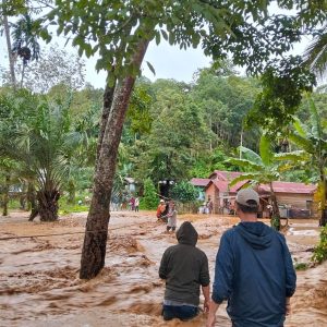 Laporan Bencana Terbaru, Banjir dan Tanah Longsor Dominasi Indonesia Akibat Dampak Siklon Tropis