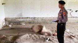 Penemuan Mayat Pria Tanpa Identitas di Bekas Kandang Ayam Padang