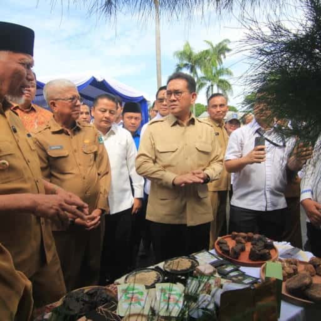 Peningkatan Drastis! Mendag Kirim 27 Ton Gambir Sumbar ke India, Begini Strategi New Power Export