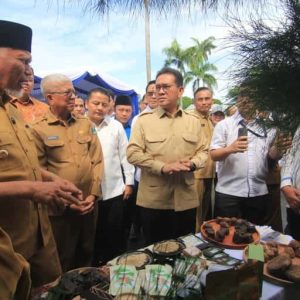 Peningkatan Drastis! Mendag Kirim 27 Ton Gambir Sumbar ke India, Begini Strategi New Power Export