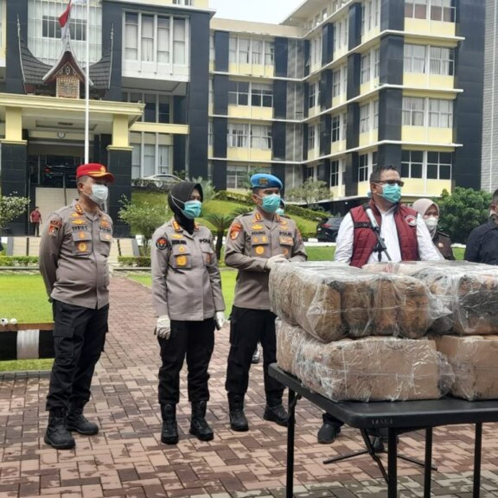 Polda Sumbar Musnahkan Ganja 87 Kilogram Hasil Tangkapan Jaringan Besar