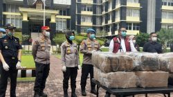 Polda Sumbar Musnahkan Ganja 87 Kilogram Hasil Tangkapan Jaringan Besar