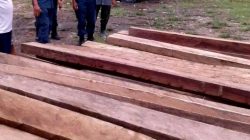 Skandal Kayu Ilegal, Polres Solok Selatan Perketat Penyelidikan Illegal Logging!