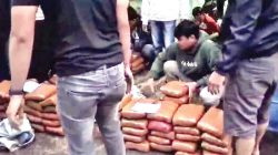 Aksi Senyap BNNP Sumbar, 100 Paket Ganja Lintas Provinsi Digagalkan