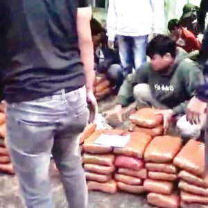 Aksi Senyap BNNP Sumbar, 100 Paket Ganja Lintas Provinsi Digagalkan