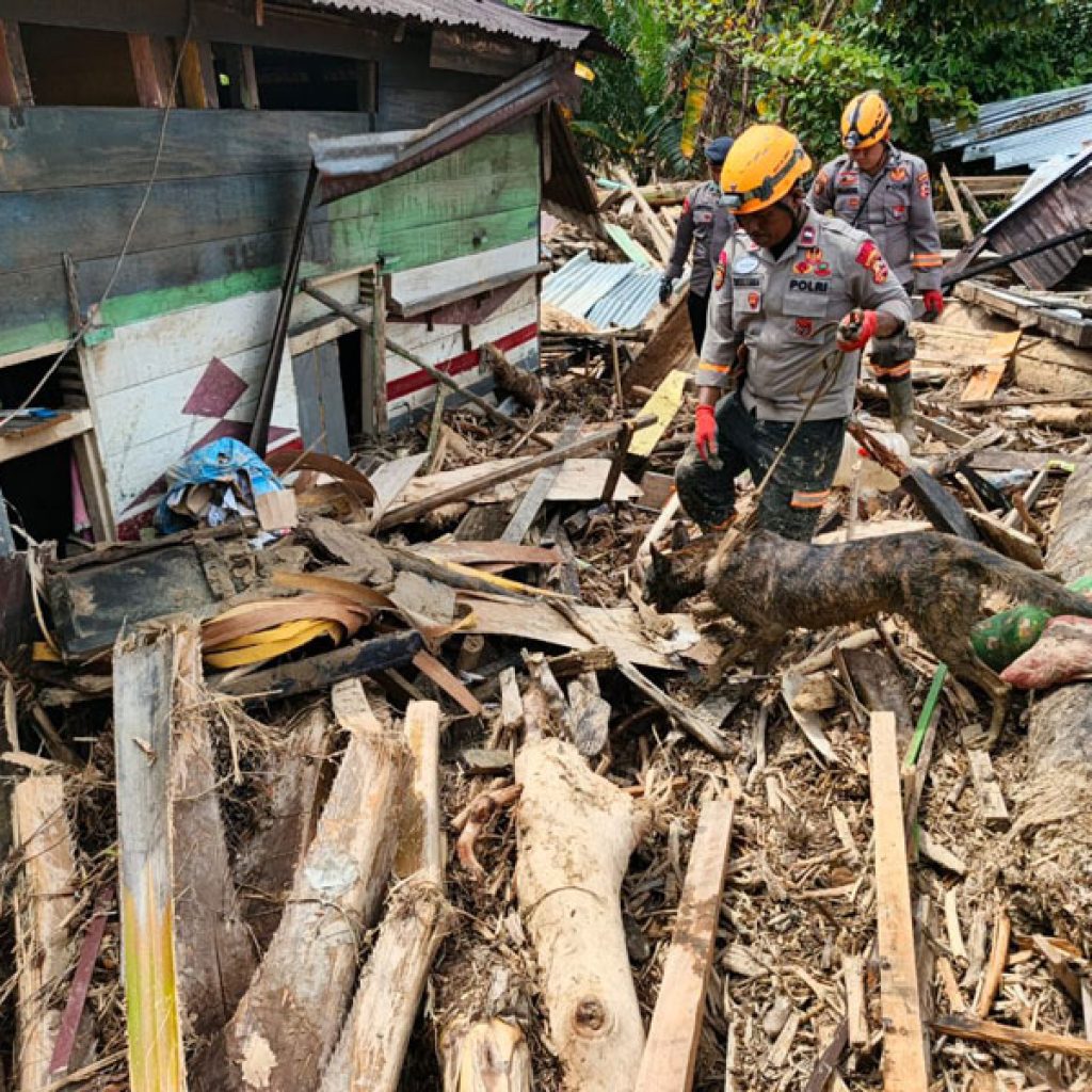 Anjing Pelacak K9 Polri Temukan Jenazah Wanita di Batang Toru