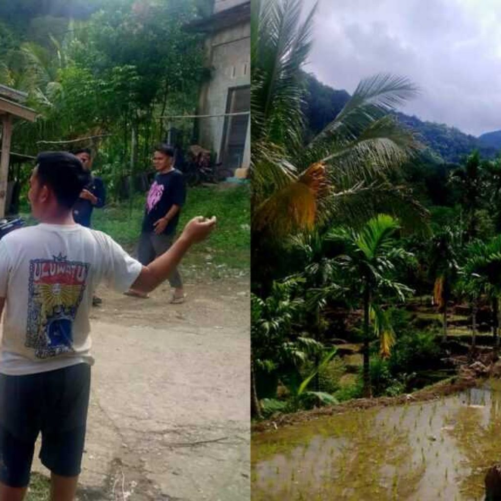 Jejak Harimau Ditemukan di KPGD Solsel Warga Diminta Waspada