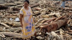 Kerusakan Hulu DAS, WALHI Sebut Banjir Sumbar Bencana Ekologis, Bukan Alam Murni