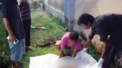 Penemuan Mayat Bayi di Muntei Mentawai