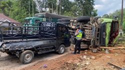 Rem Blong Memicu Truk Batu Bara Terguling di Sijunjung Hingga Jalur Lintas Sumatera Macet Total
