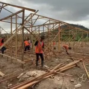 Target Dua Pekan Selesai Pemerintah Kebut 100 Huntara Mandiri di Padang