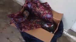 Warga Gadut Temukan Bayi Hidup Depan Rumah, Polisi Langsung Selidiki Pelaku