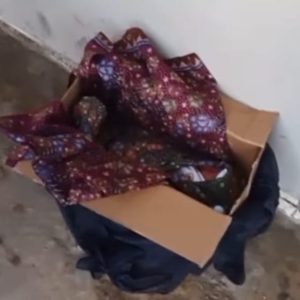 Warga Gadut Temukan Bayi Hidup Depan Rumah, Polisi Langsung Selidiki Pelaku