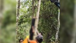 Tenaga Kebersihan FK Unand Ditemukan Tewas di Hutan Biologi Kampus Diduga Bunuh Diri