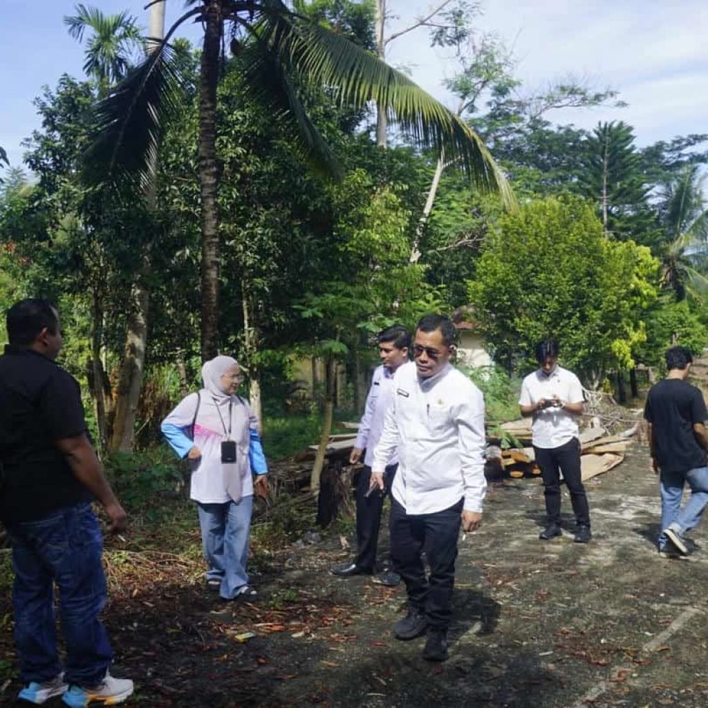 DLH Pasbar Klarifikasi Penebangan Sengon di Hutan Kota Pasaman Barat Bukan untuk Keuntungan