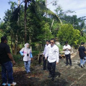 DLH Pasbar Klarifikasi Penebangan Sengon di Hutan Kota Pasaman Barat Bukan untuk Keuntungan