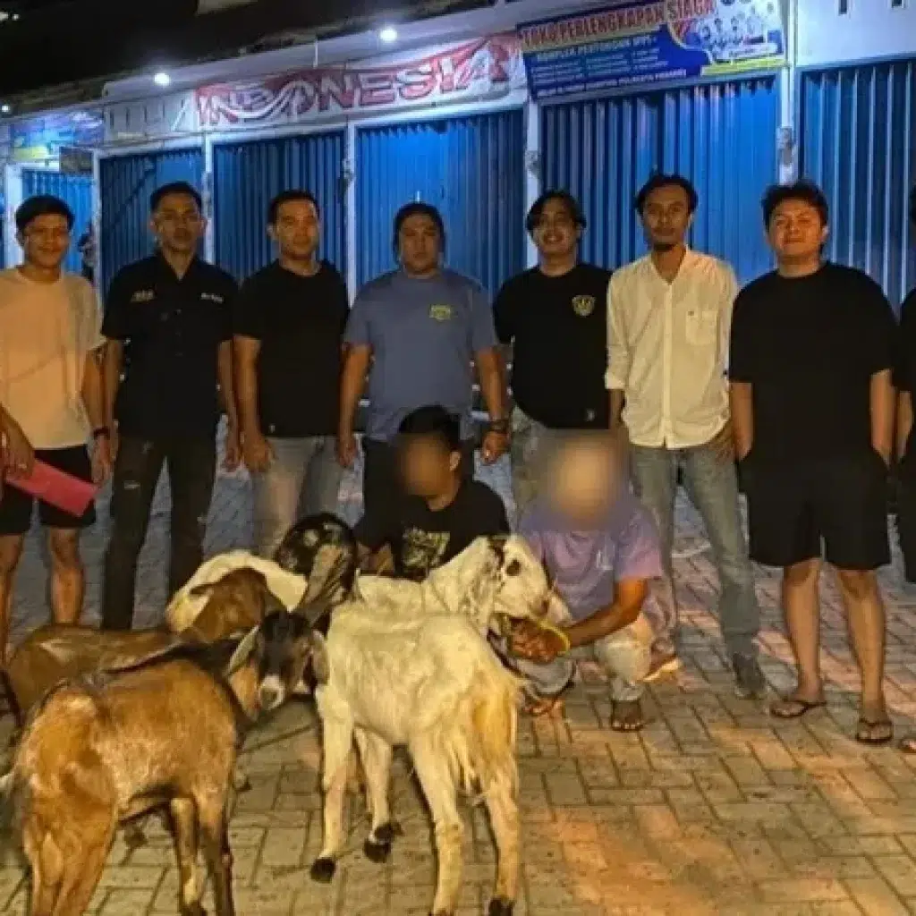 Dua Pria Ditangkap Saat Jual Kambing Curian di Padang, Ternyata Dicuri dari Sawahlunto