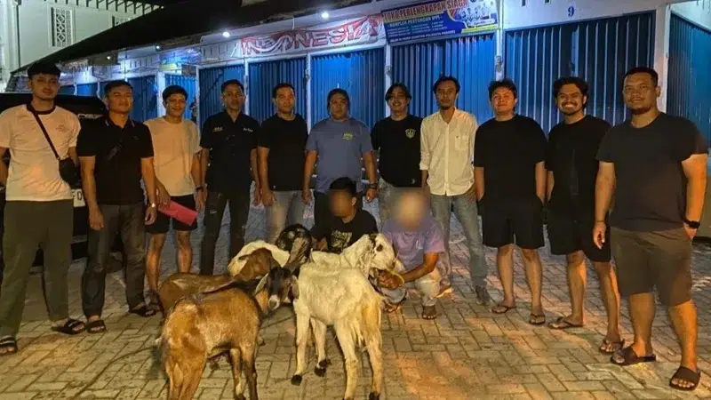Dua Pria Ditangkap Saat Jual Kambing Curian di Padang, Ternyata Dicuri dari Sawahlunto