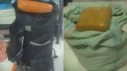 Kurir Ganja dari Sumut Ditangkap di Pasaman, Polisi Sita 21 Paket Besar Siap Edar