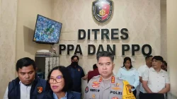 Live TikTok Pornografi Dibongkar Polda Sumut, Host Kantongi Rp5 Juta Sehari dari Siaran Challenge Dewasa