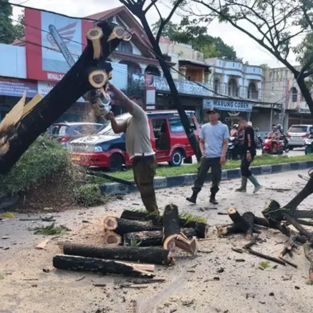 Sopir Truk Diduga Mengantuk Tabrak Pohon Trembesi di Jalan Padang-Solok, Kerugian Capai Rp20 Juta