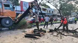 Sopir Truk Diduga Mengantuk Tabrak Pohon Trembesi di Jalan Padang-Solok, Kerugian Capai Rp20 Juta