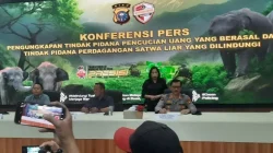 TPPU Perdagangan Gading Gajah Terbongkar, Polda Riau Sita Aset Rp650 Juta dan Alat Berat