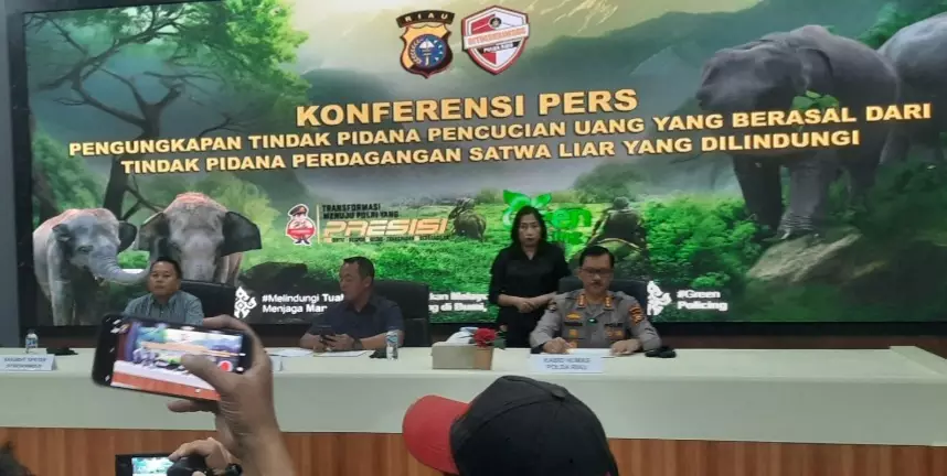 TPPU Perdagangan Gading Gajah Terbongkar, Polda Riau Sita Aset Rp650 Juta dan Alat Berat