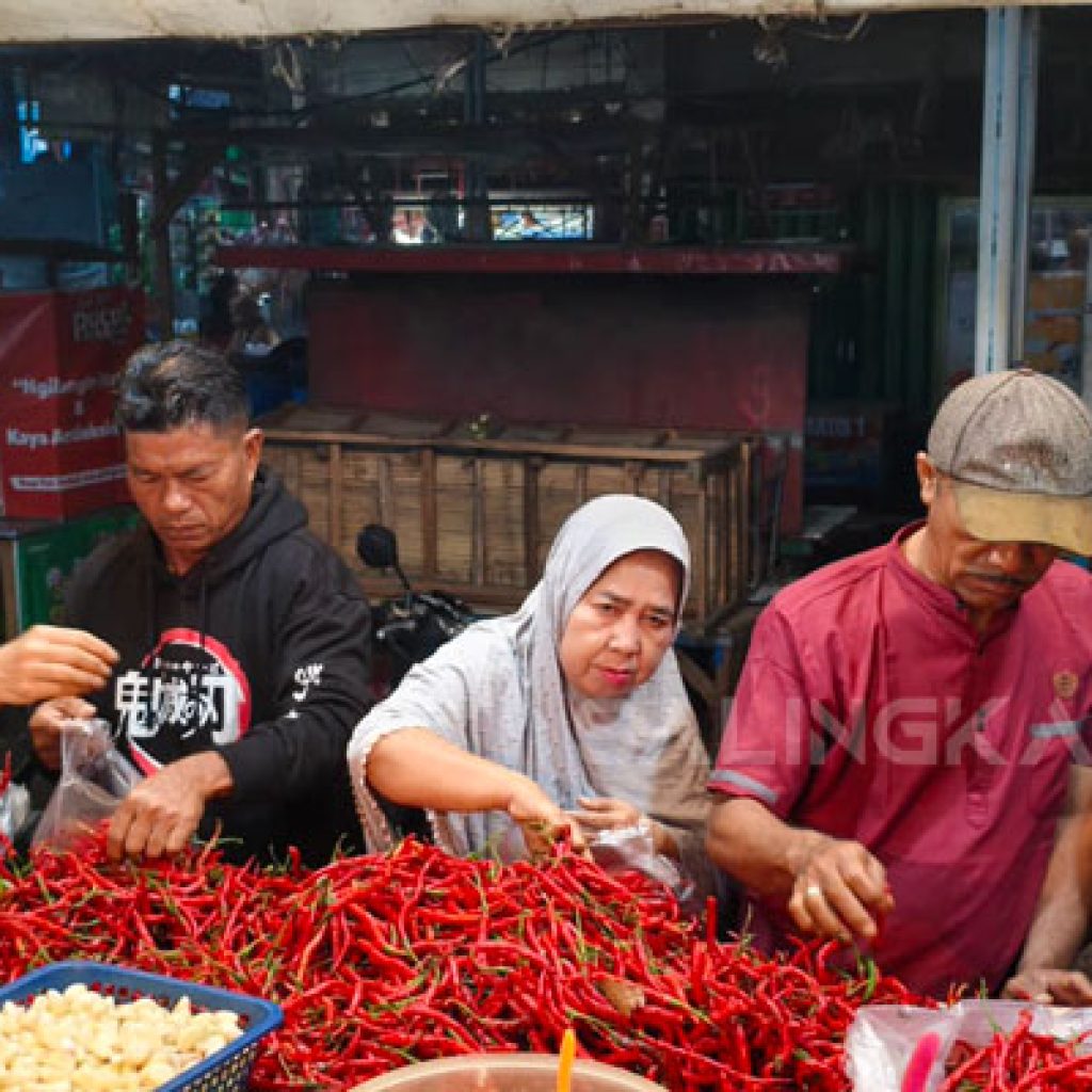 Cabe Jawa Kuasai Pasar Kota Padang, Harga Lebih Murah Bikin Pedagang Beralih dari Cabe Lokal