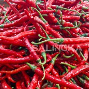 Harga Cabai Kerinci Melonjak, Lampaui Cabai Jawa di Pasar Raya Padang