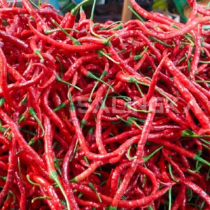Harga Cabai di Pasar Raya Padang Rabu, 8 Juli 2026: Cabai Kerinci Kembali Jadi Primadona, Murah dan Pedas Disukai Konsumen
