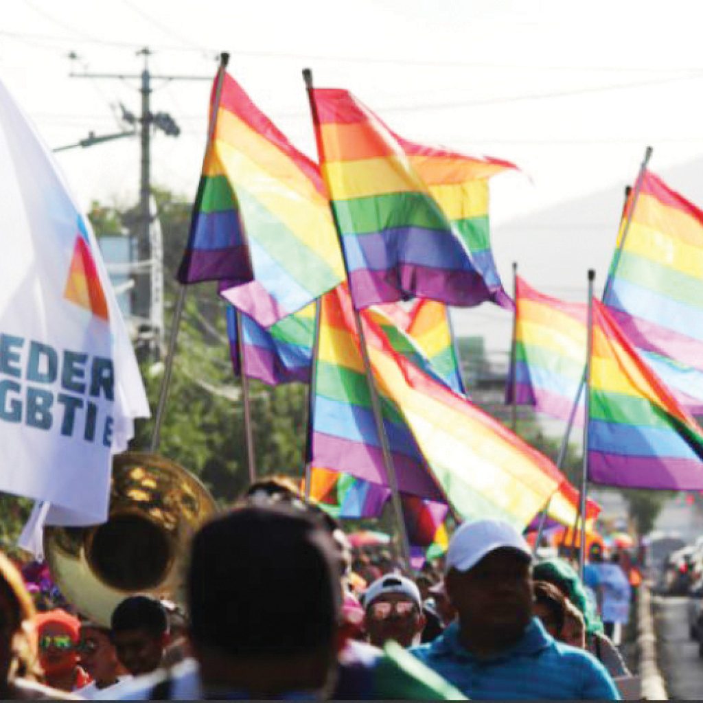 Pelarangan LGBT Diminta Segera Masuk UU, Anwar Abbas Dorong Pemerintah dan DPR Bertindak