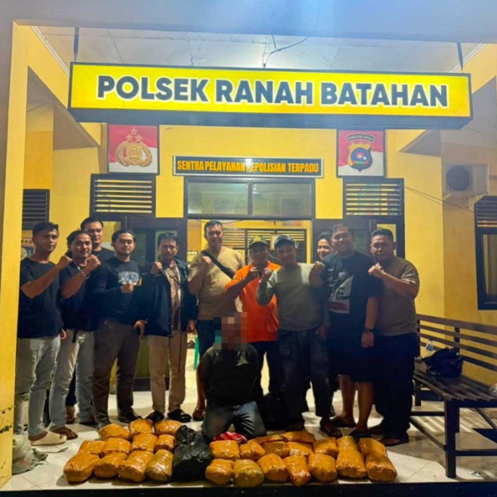Polda Sumbar dan Polres Pasbar Gagalkan Peredaran Ganja Kering, 30 Paket Siap Edar Disita