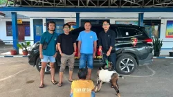 Terduga Pencuri Ternak di Tanah Datar Ditangkap Saat Bersembunyi di Rumah Kontrakan