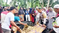 Kebakaran Pondok di Pesisir Selatan Tewaskan Pria Lansia, Istri Merangkak 600 Meter Cari Pertolongan