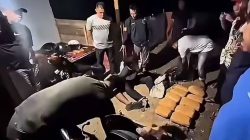 Polda Sumbar dan Polresta Bukittinggi Gagalkan Penyelundupan 27 Paket Ganja di Agam