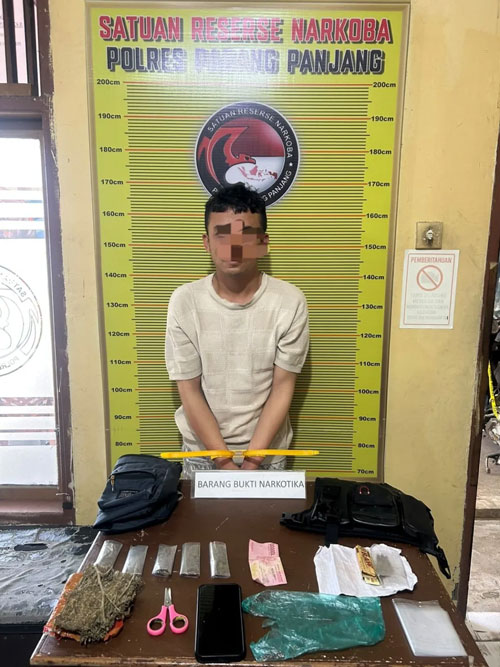 Satresnarkoba Padang Panjang Tangkap Pengedar Ganja Kering, Polisi Sita Enam Paket Barang Bukti