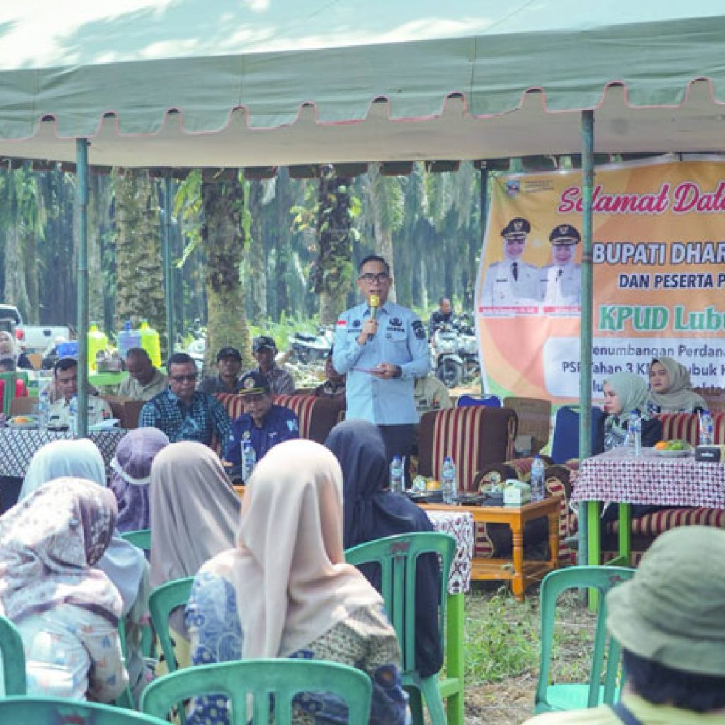 Sekda Dharmasraya Saksikan Tumbang Chipping PSR Tahap III di KUD Lubuk Karya, Petani Dapat Dukungan Rp60 Juta per Hektare