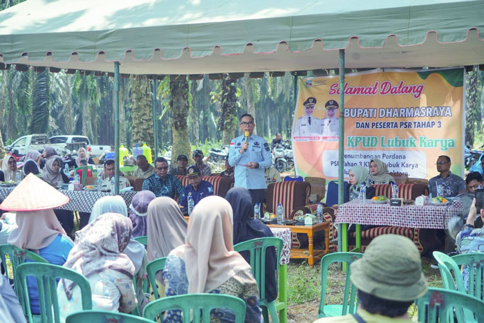 Sekda Dharmasraya Saksikan Tumbang Chipping PSR Tahap III di KUD Lubuk Karya, Petani Dapat Dukungan Rp60 Juta per Hektare