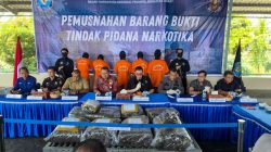 BNNP Sumbar Musnahkan 73 Kilogram Ganja, Terungkap dari Dua Kasus Lintas Provinsi